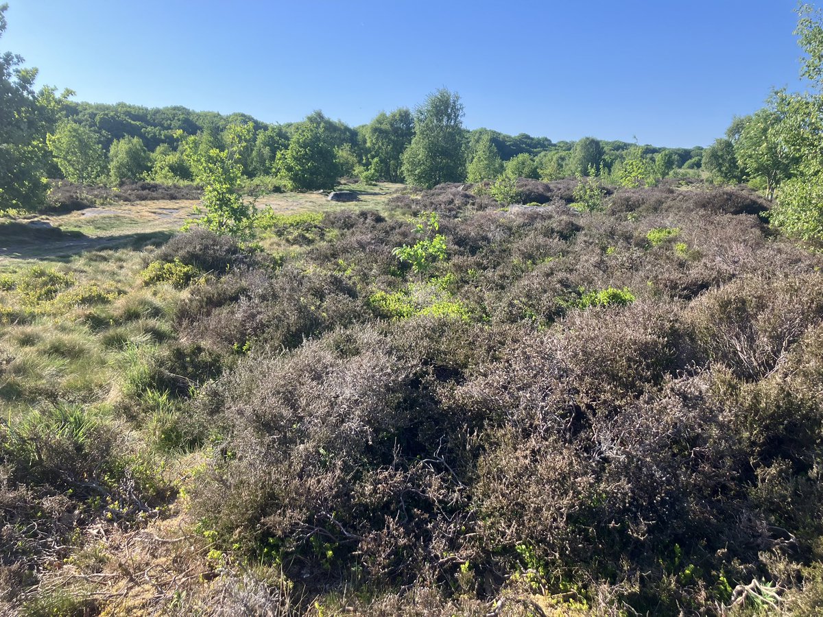 Natural England is delighted today to declare England’s newest National Nature Reserve: the Bradford Pennine Gateway NNR. 1200 hectares of priority habitats on the doorstep of tens of thousands of people, many of whom have limited access to high quality natural areas.