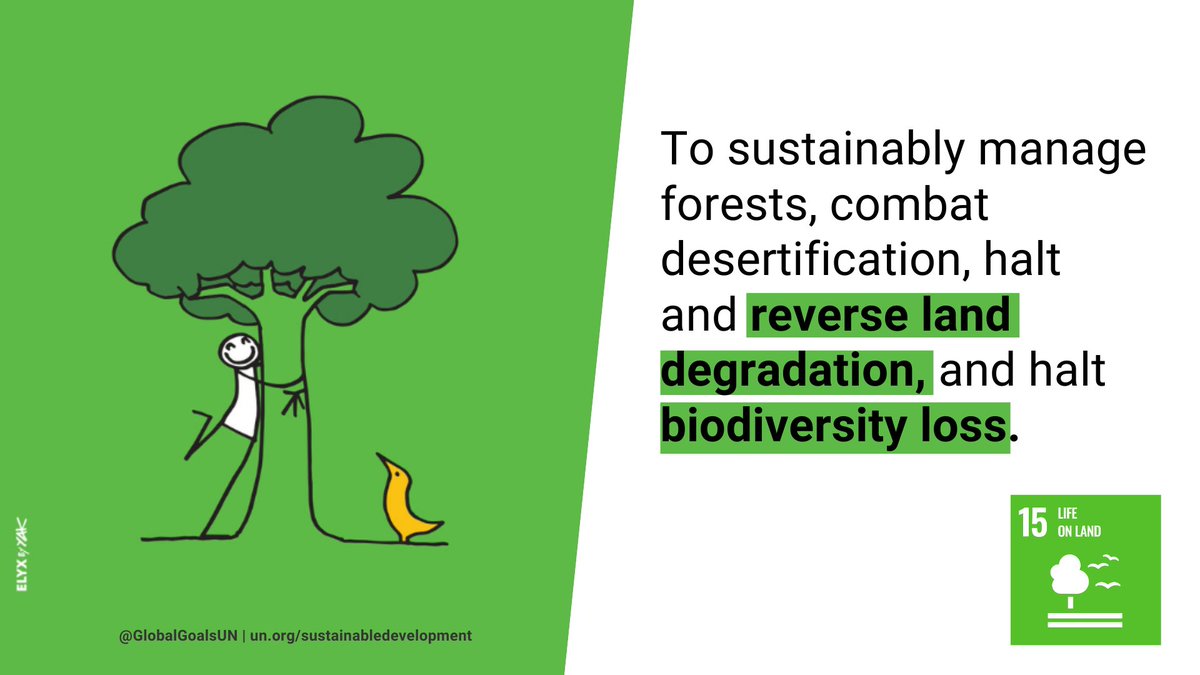 Forests. Soil. Biodiversity. Wildlife.
Protecting them isn’t optional — it’s essential.
We need healthy ecosystems to fight climate change, end hunger &amp; prevent extinction.
🌱 That’s Goal 15: Life on Land #GlobalGoals
Read more: un.org/sustainabledev…
with: @ElyxYAK