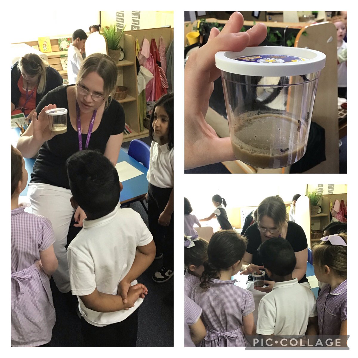 Our little caterpillars have finally arrived in EYFS! We are looking forward to watching what happens next! #EYFS #trinityallsaints #bingley