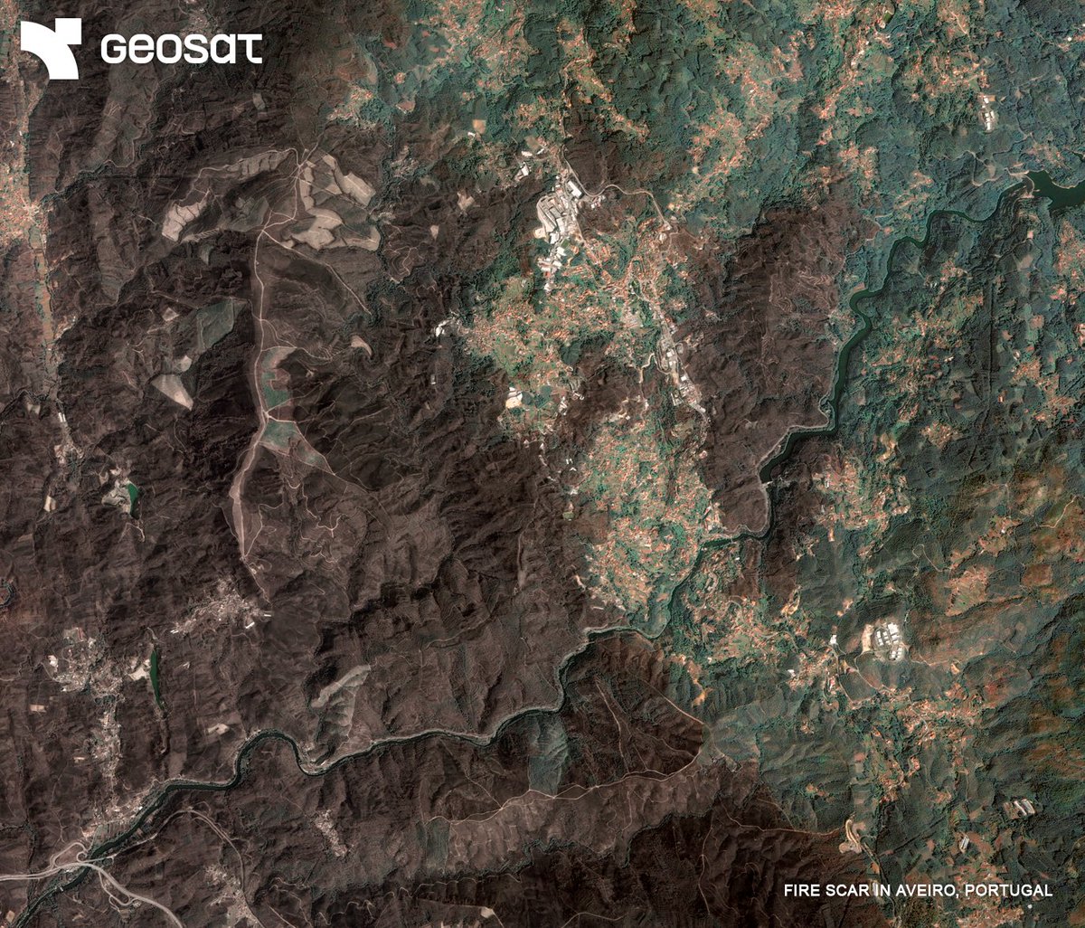 geosat_sat's tweet image. From forests to coastlines, GEOSAT helps monitor and protect our changing environment with very high-resolution satellite imagery.
Learn more: geosat.space/markets/enviro…