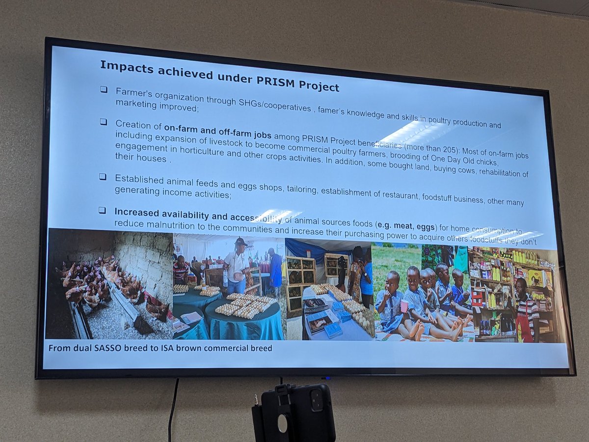 Agronomme_'s tweet image. GICUMBI — The #PRISMProject is reshaping rural life.

Over 1,200 vulnerable households now earn through pigs, goats, chickens &amp;amp; sheep. Farmers like Uzabakiriho Alphonse turned support into innovation—launching a BSF farm now feeding the whole community.

#PRISM

1/2.....