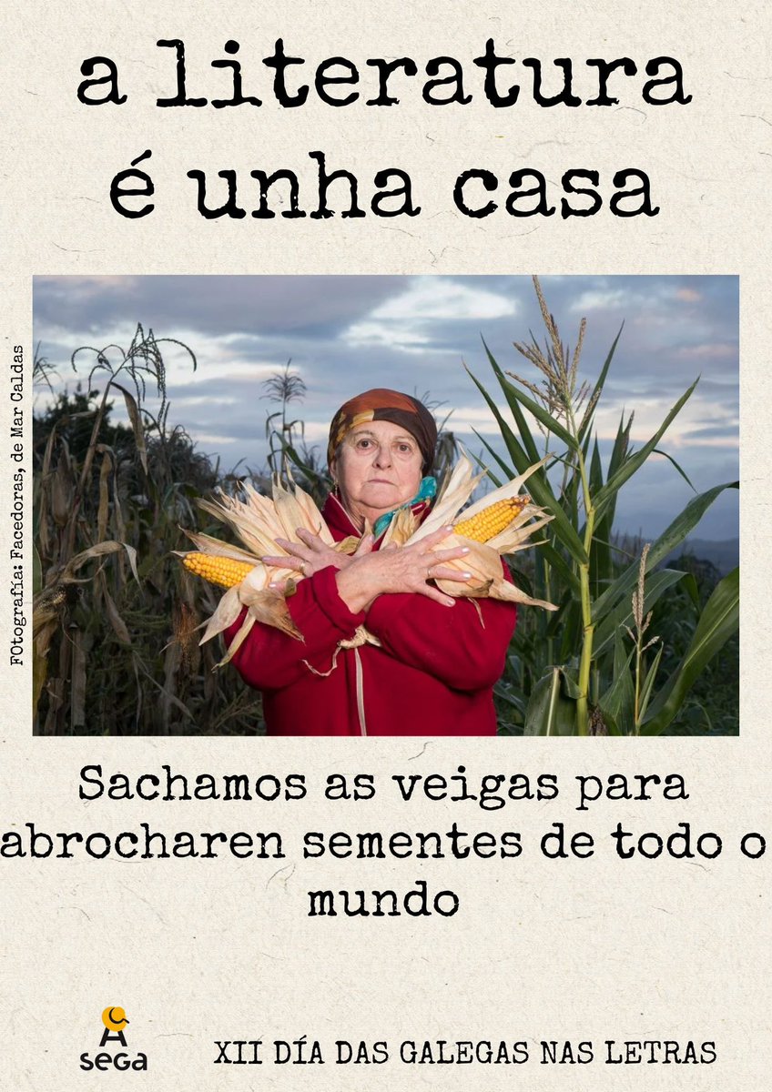 Traballar, loitar, celebrar xuntas… para erguer a casa da literatura, que é de todas.

#díadasgalegasnasletras #DGL25 #XIIDGL