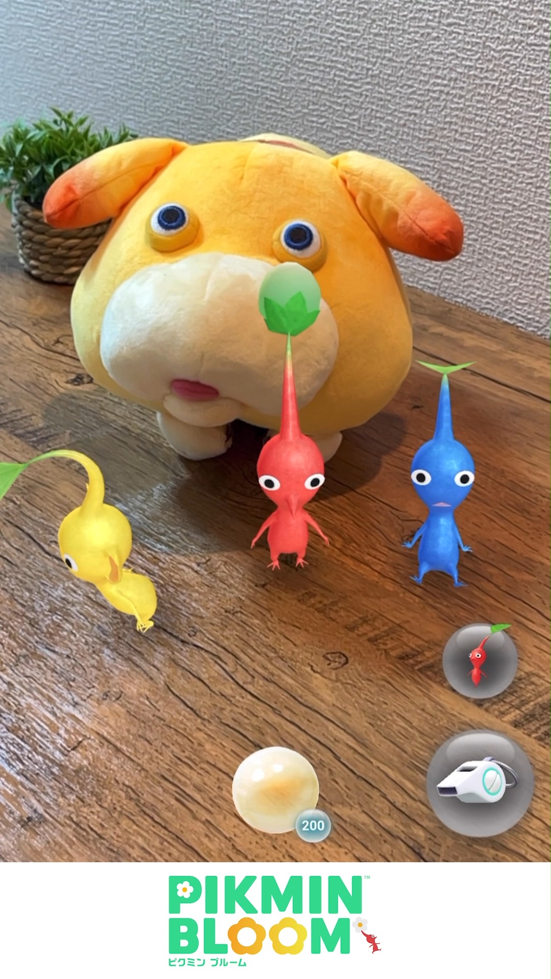 Pikmin Bloom Japan │ ピクミンブルーム on X: 