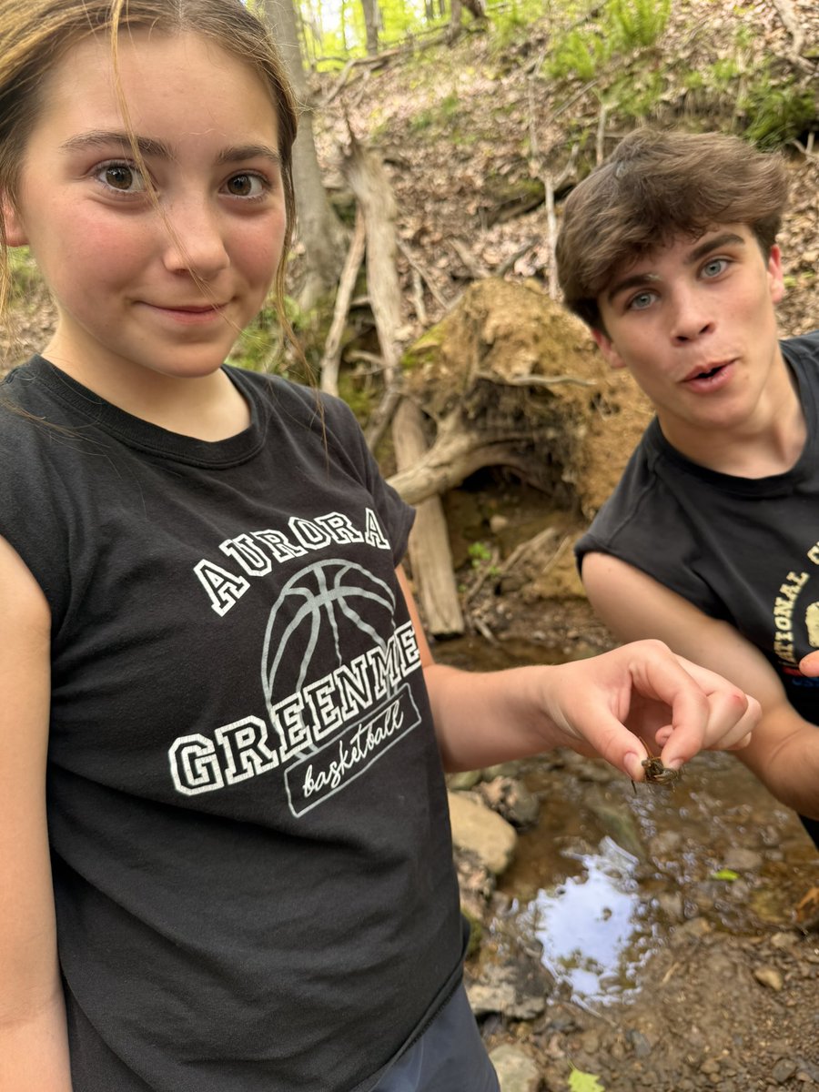 6thcamp's tweet photo. Critters https://t.co/auMbhAivTs