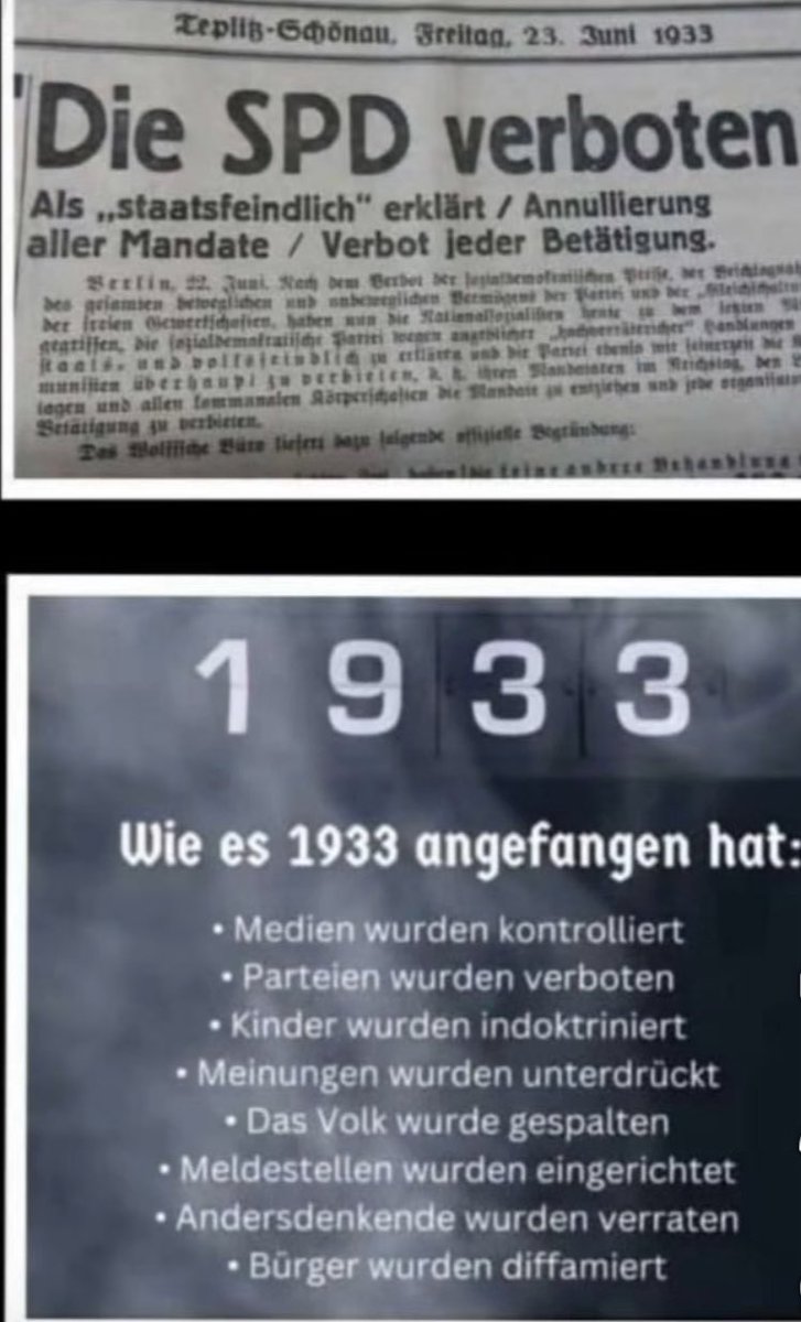 Oscar Dog (@oscardog566202) on Twitter photo 