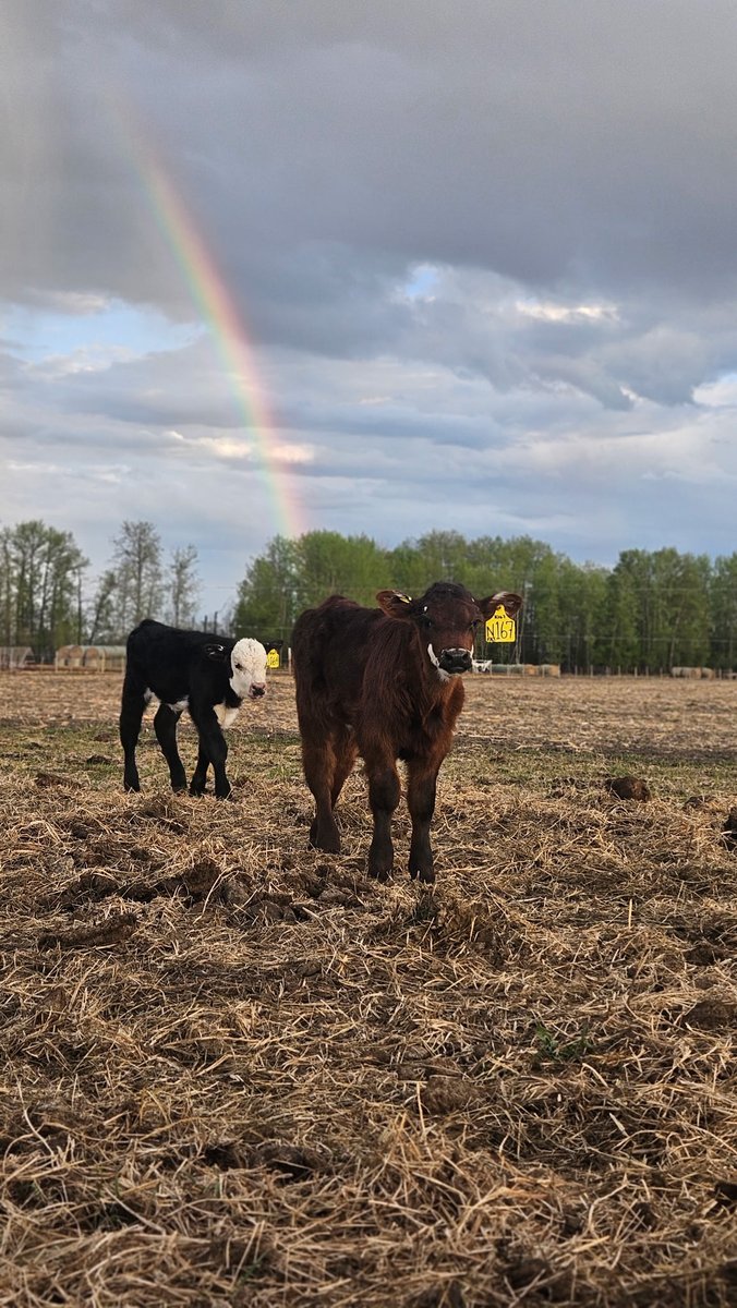 Found some gold at the end of the rainbow.