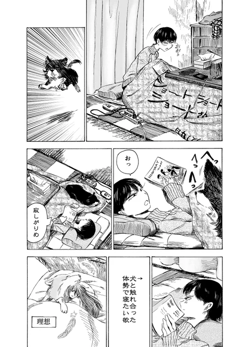 愛犬の日 