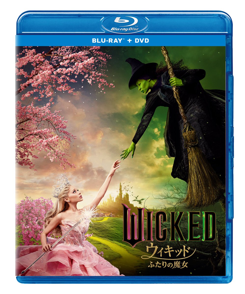 V系★NEVERLAND【Evergreen.】ジールリンク★特典★DVD V系☆NEVERLAND【Evergreen.】ジールリンク☆特典☆DVD 2025年