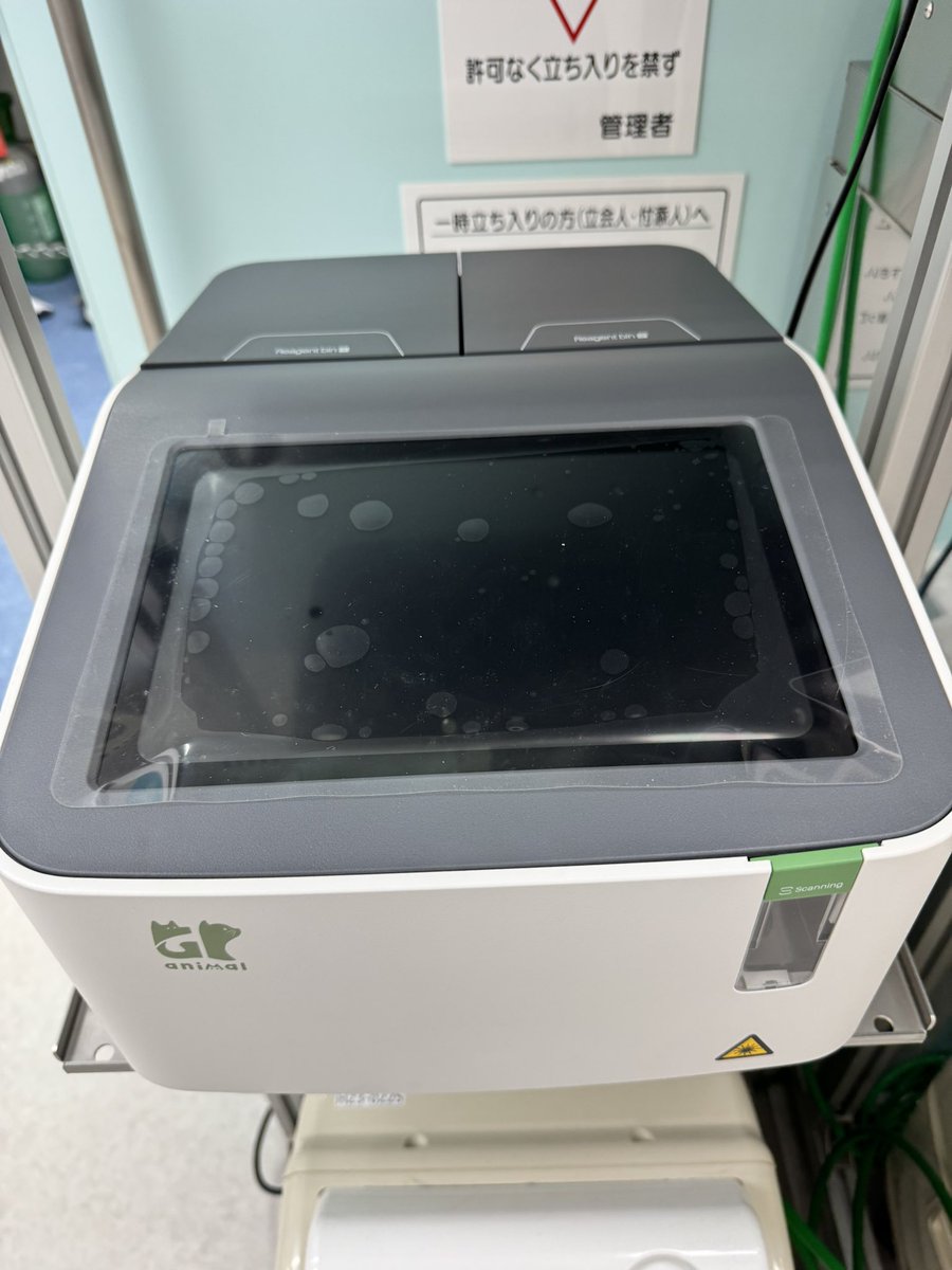 🎉大ニュース！PCR検査導入！猫コロナウイルスはもちろん、FIP変異ウイルスも即検出可能に！💉 FIP診断が1週間待ちなんて、もう過去の話。目指せ即日診断で猫ちゃんの命を救う！🐾 応援よろしく！🙌 #猫伝染性腹膜炎 #FIP #PCR #猫命
