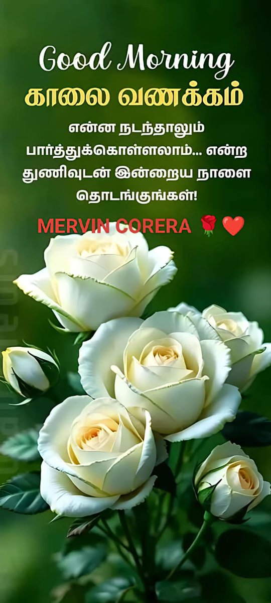 கடினமான நேரங்களில் நிதானமாக இருந்தால் ...

வெற்றி நமதே ...!!!

 இனிய நற்காலை வணக்கம்🌷 #காலைவணக்கம் #பிரேம்நாத்