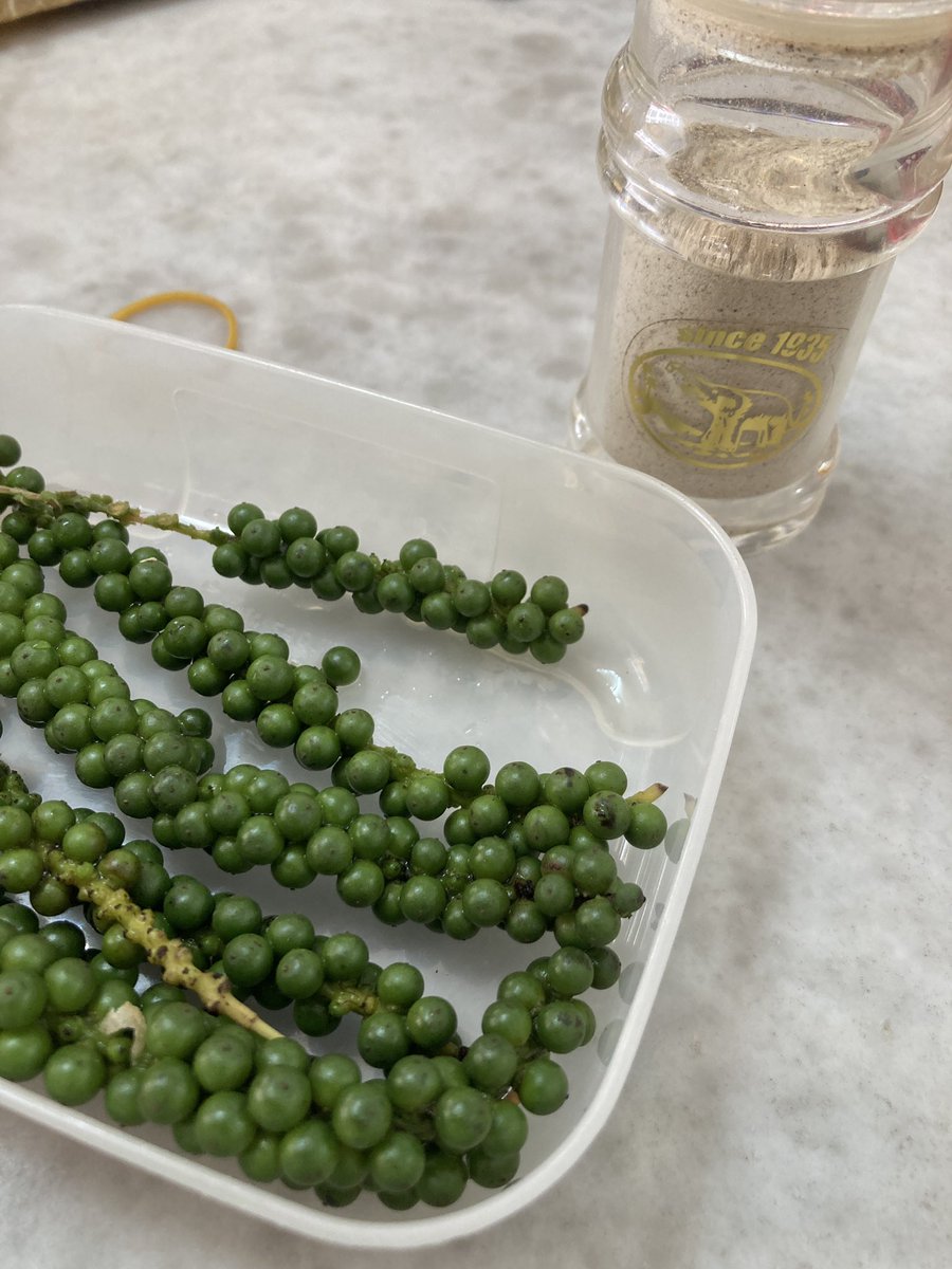 LionUnity's tweet image. TIL: pepper sebelum diproses lagi sedap.