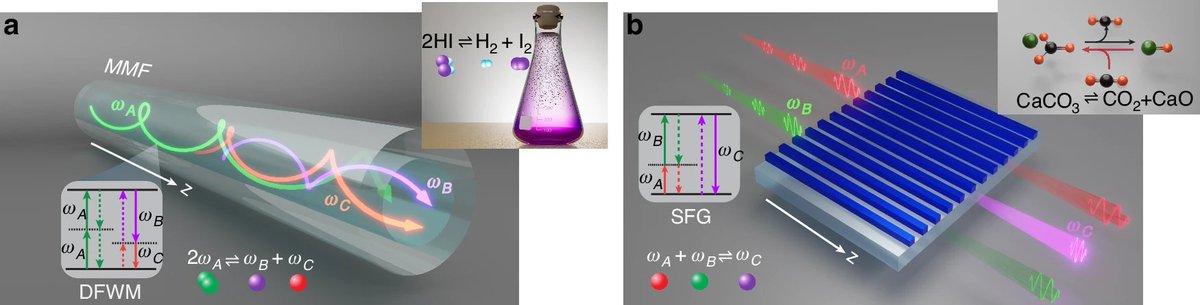 LightSciAppl's tweet image. #LSA_Highlight: [Article] Photon–photon chemical thermodynamics of frequency conversion processes in highly multimode systems. @USC @UCF @Cornell #Nonlinear_optics #Optical_physics
nature.com/articles/s4137…