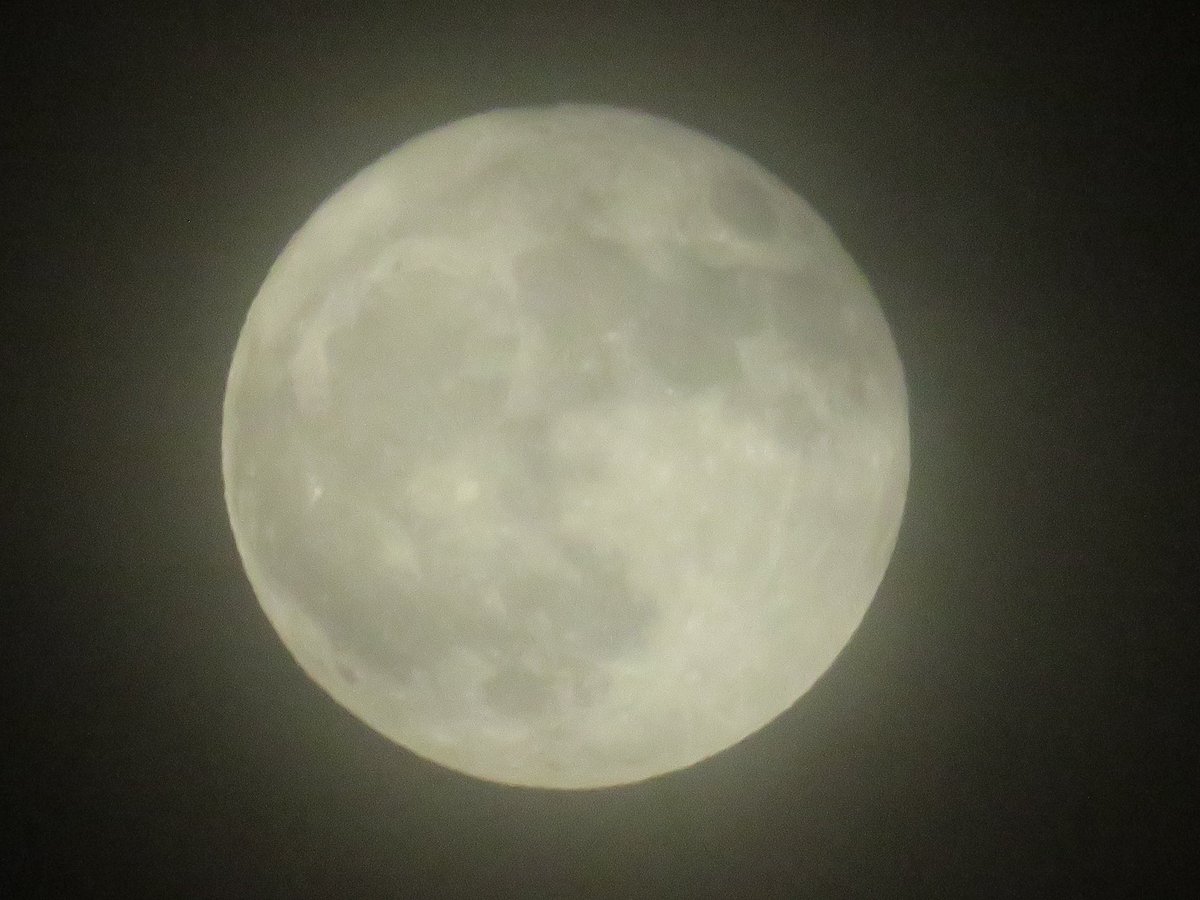 coachpam2's tweet photo. Tonight’s Full Flower Micro Moon🌸🌙🦋
#mayfullmoon #flowermoon #buddingmoon #mothersmoon #plantingmoon #frogmoon #haremoon #milkmoon #grassmoon #micromoon https://t.co/BxuOzSP4aE