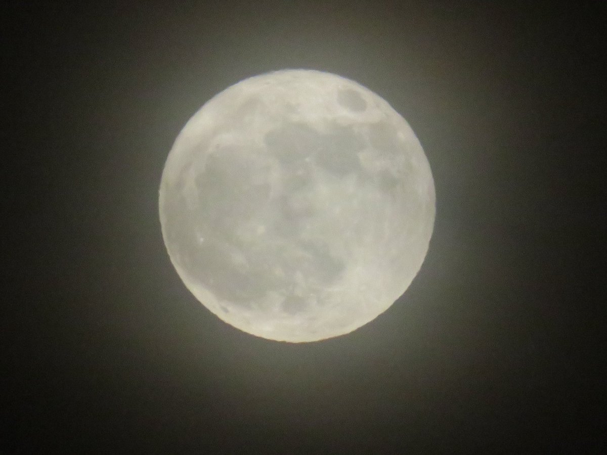 coachpam2's tweet photo. Tonight’s Full Flower Micro Moon🌸🌙🦋
#mayfullmoon #flowermoon #buddingmoon #mothersmoon #plantingmoon #frogmoon #haremoon #milkmoon #grassmoon #micromoon https://t.co/BxuOzSP4aE