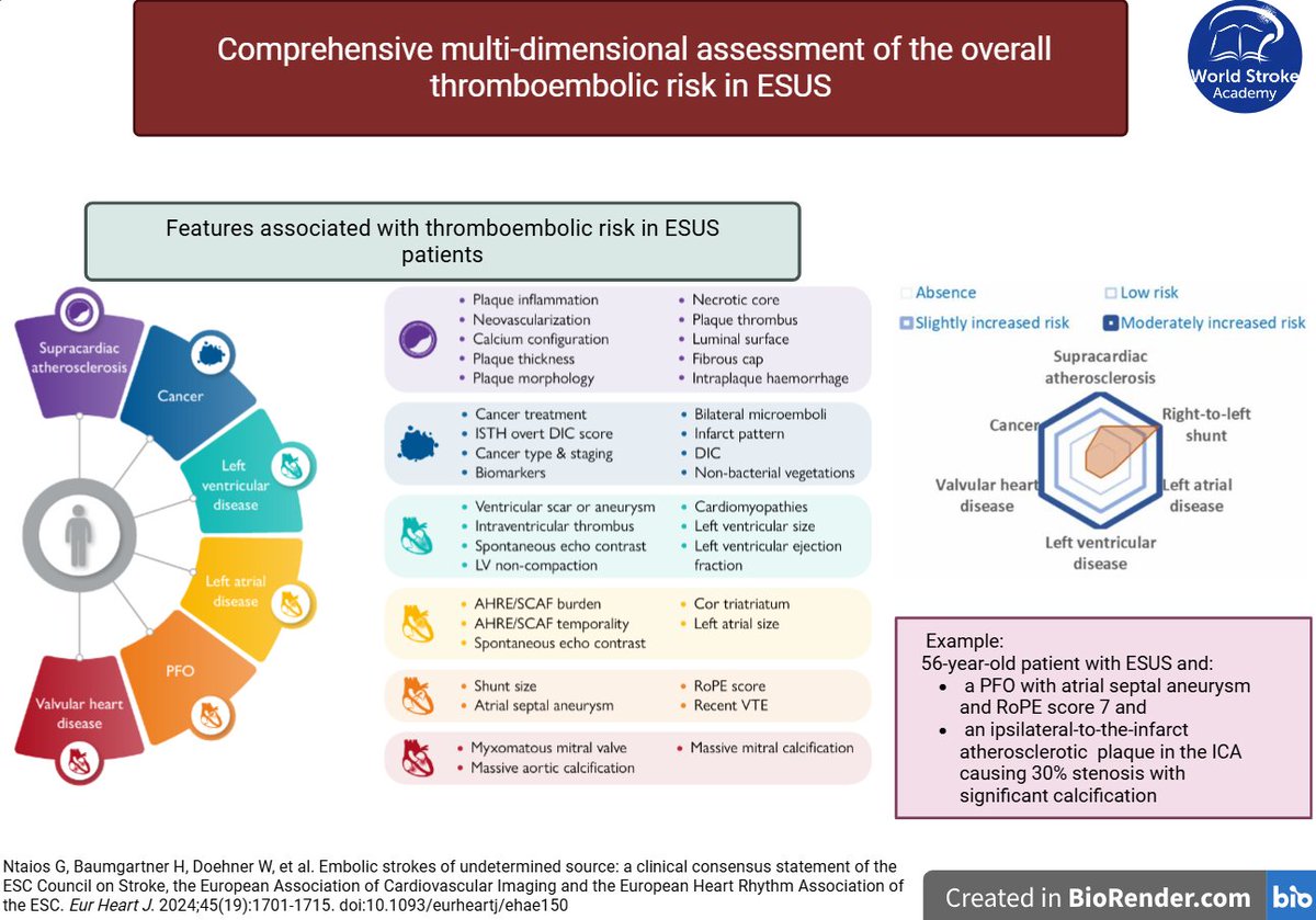 World Stroke Academy (@worldstrokeed) on Twitter photo #MondayTip
🔎 In #ESUS, multiple embolic sources often coexist & are underestimated.
⚠️ Don’t chase one cause—<a href="/escardio/">European Society of Cardiology</a> stroke council recommends assessing overall thromboembolic risk
doi.org/10.1093/eurhea… #MondayTip
🔎 In #ESUS, multiple embolic sources often coexist & are underestimated.
⚠️ Don’t chase one cause—<a href="/escardio/">European Society of Cardiology</a> stroke council recommends assessing overall thromboembolic risk
doi.org/10.1093/eurhea…