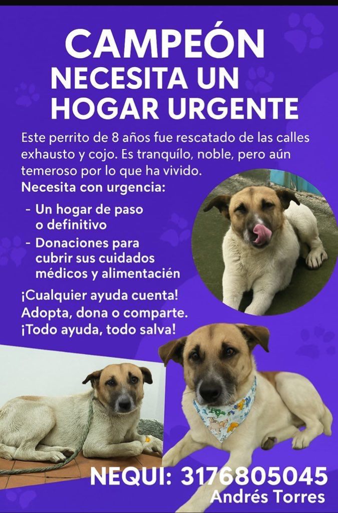 <a href="/CaroRpoG/">Carolina Restrepo Gaviria</a> Hola! Te dejo la info👇🏻