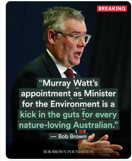 raven murmur tweet media