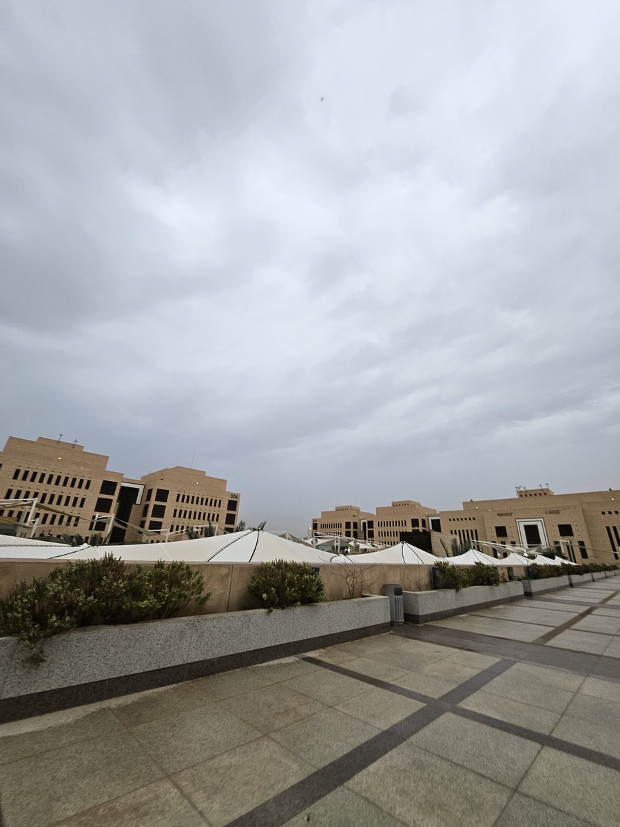 lo99rt's tweet image. أيام الشتاء 📷