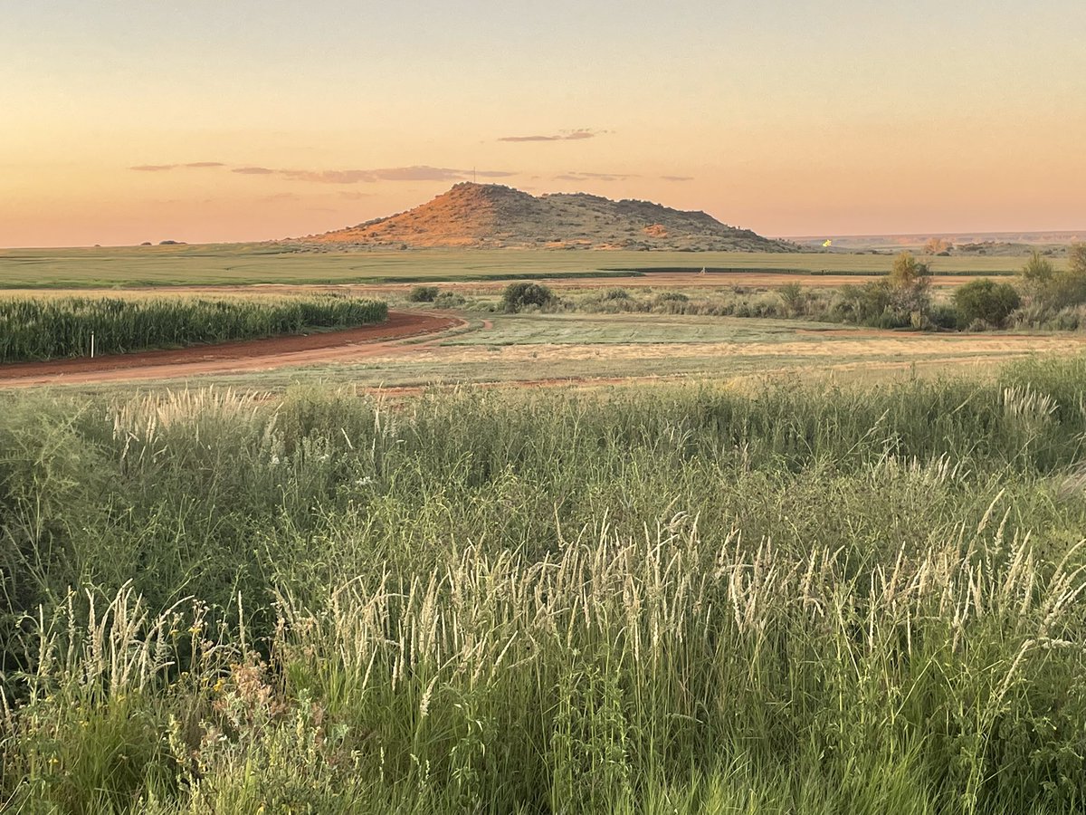 Die HEER is groot waar Sions top
hom wentel uit die dieptes op. 
Hy is lofwaardig, waar verhewe 
die berg en stad in songlans bewe, 
en Sion teen die noorde 
blink, bó die lof van woorde. 
Daar waar in vlekkelose wit 
die Koning van die wêreld sit, 
het Hy, wat teen die vyand