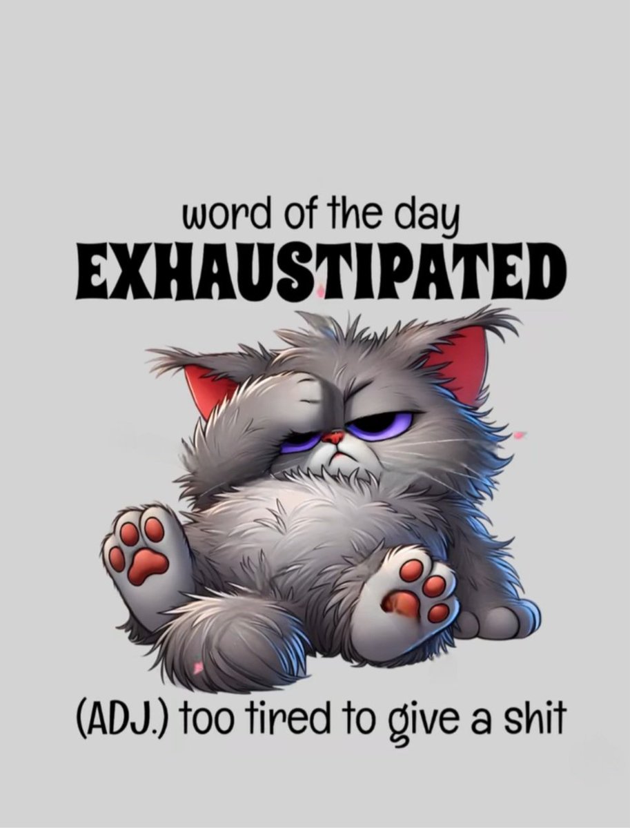 LVerhoff's tweet image. 