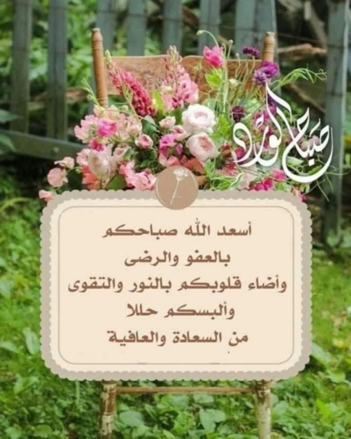 #صباح_الخيرات_والمسرات

ربي أَسعِـد گلّ روح تتواجـد هُنَـا؛
وامْلأ قُلوبَهم بِالرّضـا والسَعـادَة يا اللّـه🕊️