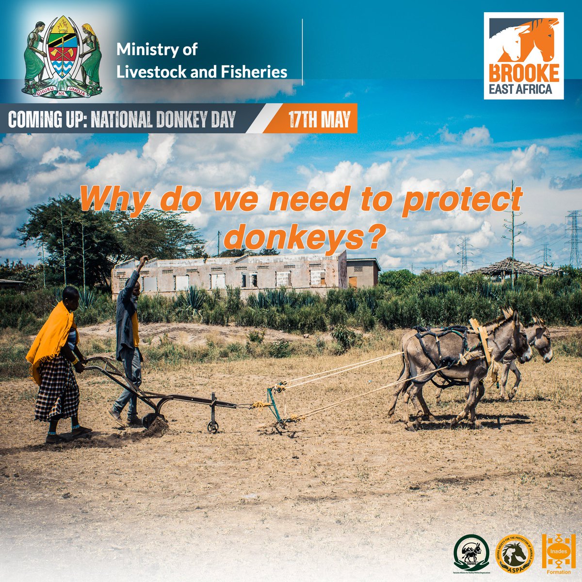 We honor and protect the donkeys that plough our fields, carry loads for us, and move our communities forward.

In each village and across Tanzania, their labor sustains livelihoods — yet their needs are often overlooked.

📍 Join us in Chemba District, Dodoma

🗓️ May 16–17, 2025