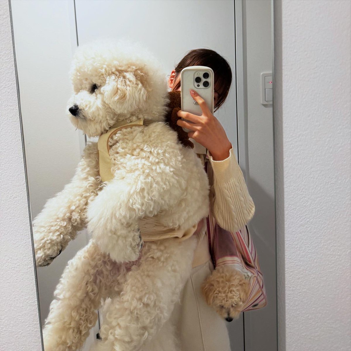 私の最近の散歩風景笑笑笑笑