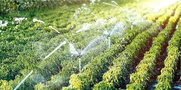 BellotaAgrisolutions (@bagrisolutions) on Twitter photo #AgroActualidad 📣 Identifican tres tecnologías para la modernización del #regadío. 💦
Según un informe, estas plataformas son claves para la transformación digital del regadío. 📊
Más información ⬇️ vía <a href="/profesionalAGRO/">Profesional AGRO</a>
profesionalagro.com/noticias/ident…
#SomosAgro #Agricultura #AgroActualidad 📣 Identifican tres tecnologías para la modernización del #regadío. 💦
Según un informe, estas plataformas son claves para la transformación digital del regadío. 📊
Más información ⬇️ vía <a href="/profesionalAGRO/">Profesional AGRO</a>
profesionalagro.com/noticias/ident…
#SomosAgro #Agricultura
