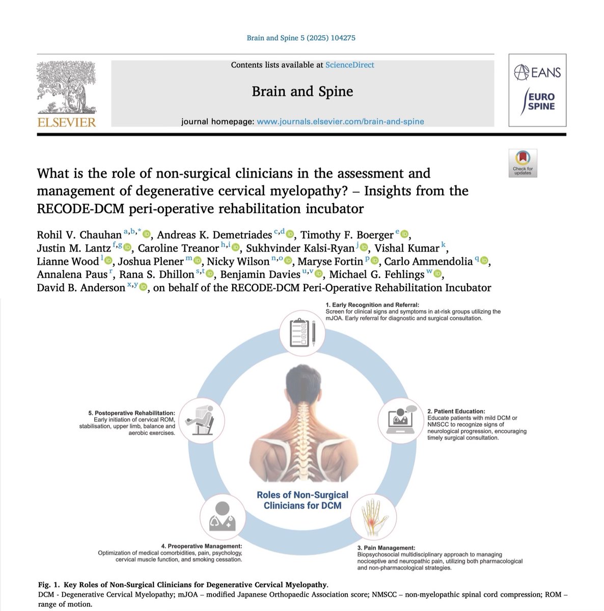 🚨New paper out! What is the role of non-surgical clinicians in Degenerative Cervical Myelopathy?
💡We synthesise emerging evidence with perspectives from the <a href="/AOSpine/">AO Spine</a> RECODE-DCM Peri-Operative Rehabilitation Incubator and highlight key knowledge gaps.

🔓doi.org/10.1016/j.bas.…