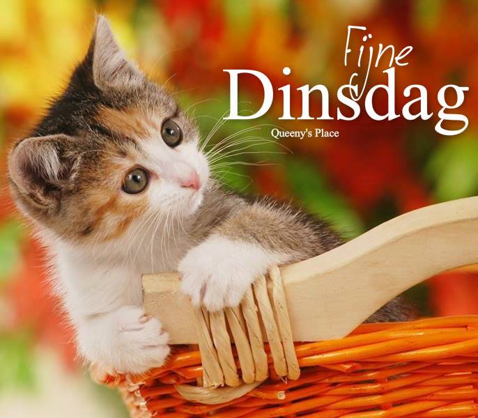 Goedemorgen lieve dames en beste heren vanuit een onbewolkt Westland iedereen een hele mooie zonnige dinsdag 🌞🌞🌞🌞🌞🌞🌞🌞🌞