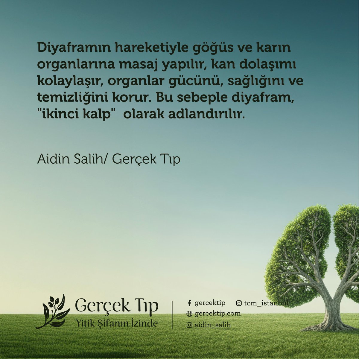Doğal nefes; Duyguların,düşüncelerin, kuvvetlerin ve organların sağlığını muhafaza eder.Çünkü,vücuda alınan oksijen su ve gıda gibi maddelerle hücreler arasındaki uyumu sağlar.Bu faktörler göz önüne alındığında nefesin,sağlığı ve düşünceyi besleyen bir kuvvet olduğu söylenebilir.