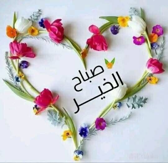 akmq91's tweet photo. صباح الخير لمن يبحثون عن الخير ... لمن يضيء الصباح بنقاء قلوبهم ... لمن يجعلون للحياة معنى بوجودهم ... للمتفائلون الذين ينظرون للصباح على انه لوحة ملونة ويبتسمون لإحساسهم أن الإبتسامة صدقة تفتح أبواب الحياة ...
 صباح التفاؤل والأمل ❤️ https://t.co/lkbPYWQa1G