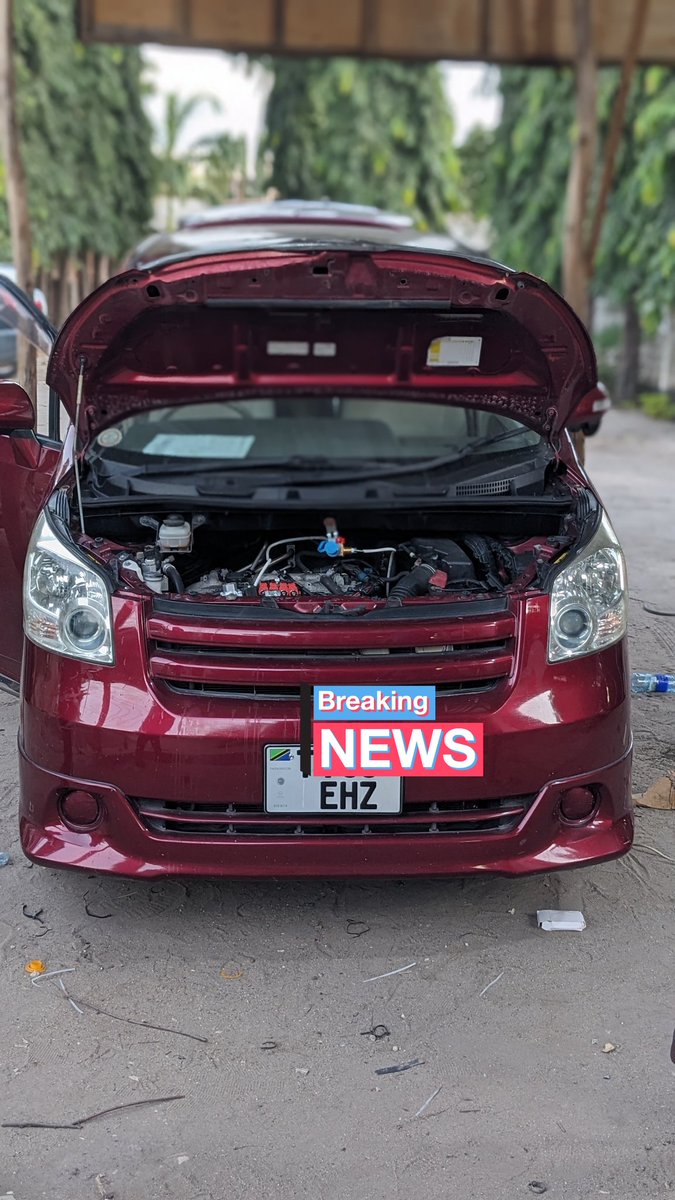 Mr. Gesi asilia (CNG) tweet media