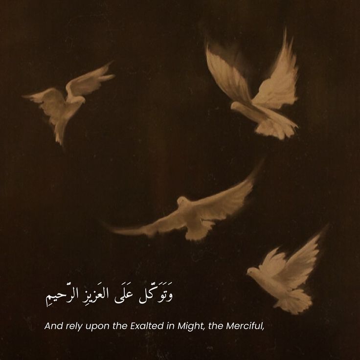 iUmmer_21's tweet image. And rely upon the exalted in might the merciful