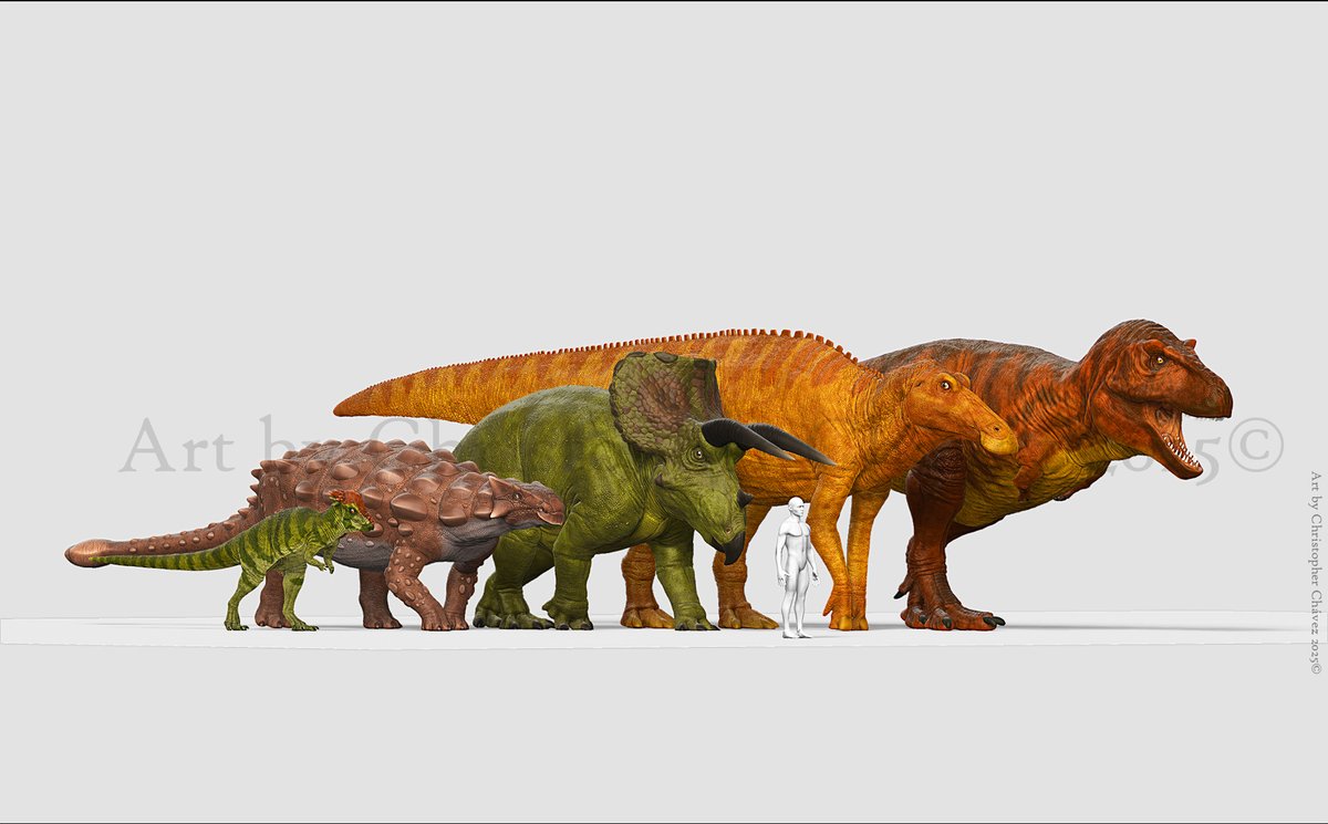 Comparison 3 of the peak of the arms battle of these beautiful animals.

Comparación 3 de la cuspide de la batalla armamentistica de estos hermosos animales.

#paleoart #triceratops #zbrush #huion #ᴘʜᴏᴛᴏsʜᴏᴘ #tyrannosaurus #edmontosaurus #pachycephalosaurus #ankylosaurus