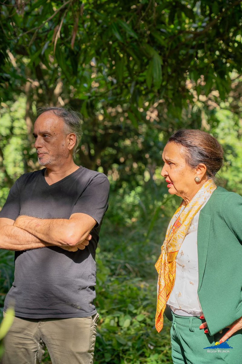 Région Réunion tweet media