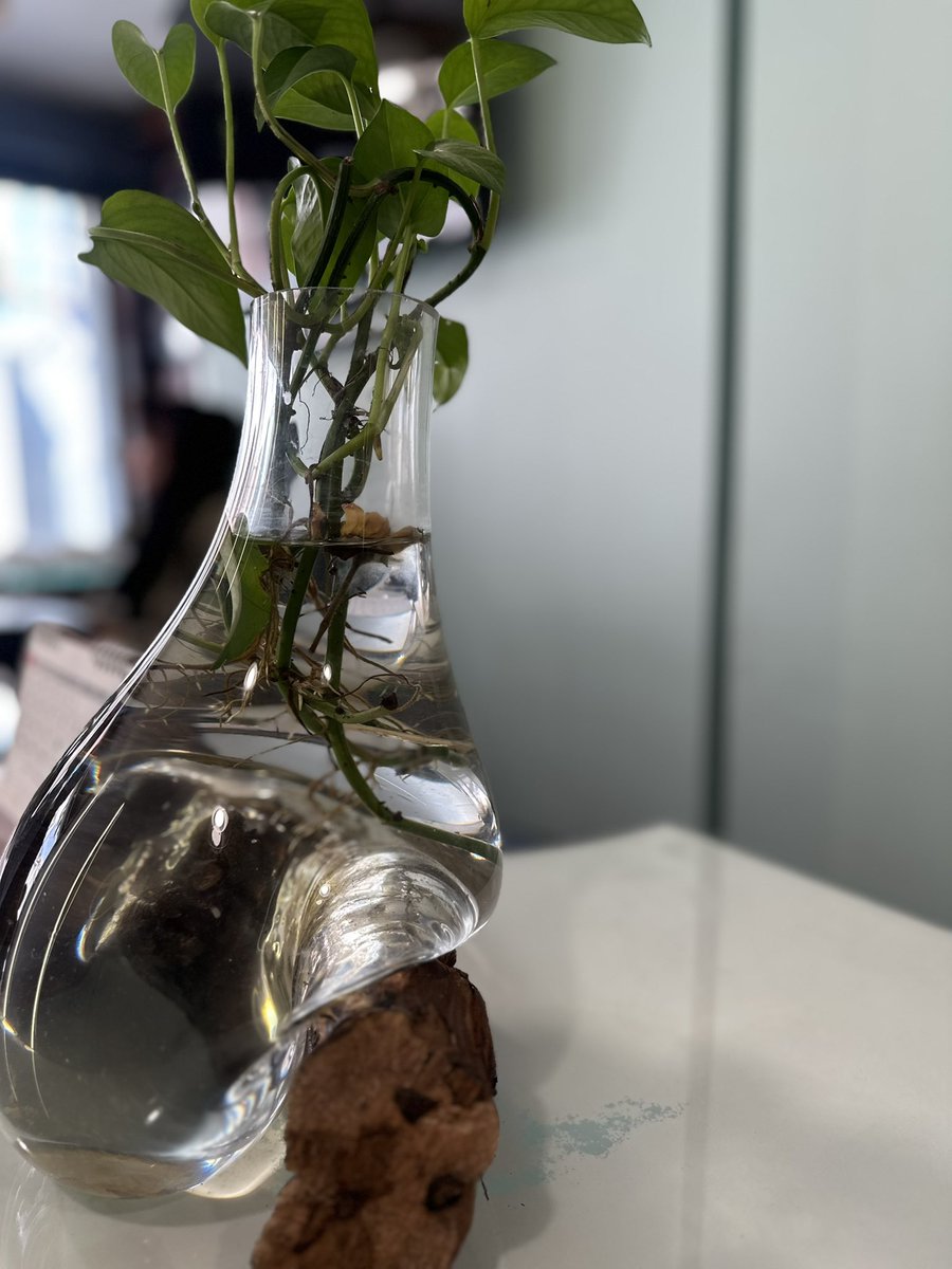 حين يخسر الإنسـٰـان توقعاتــه في الشخص الذي أراده حقـٰا 
 لا أحد يستطيّــع أن يعيد إليّــه طمأنينته نحو أي شيء. هل تهزمنّـٰا المشاعر لهذه الدرجّــة!!