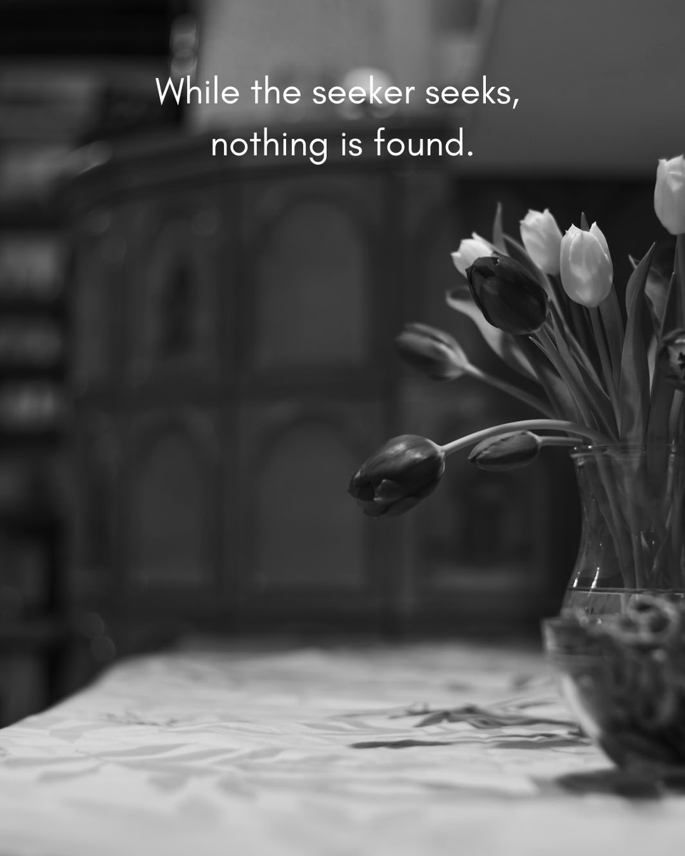 No comprehension and no conclusion lead anywhere as they are all empty. No experience and no insight are substantial. How difficult can life be when the hypnotic dream of seeking turns out to be nothing but a fantasy?

#thetimelesswonder #nonduality #liberation #advaita
