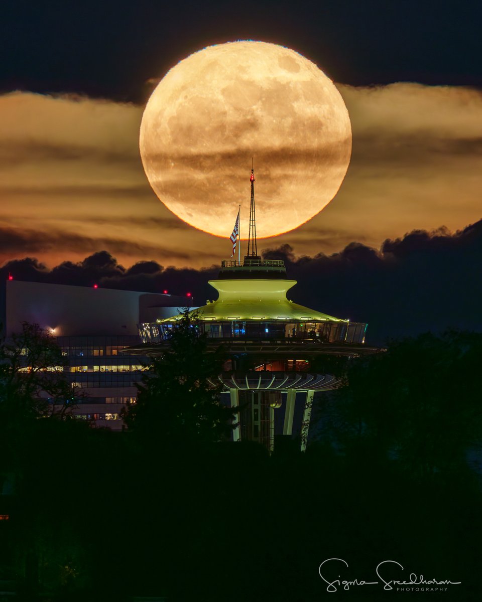 sigmas's tweet image. Full #FlowerMoon rising tonight in #Seattle...
Finally the clouds cooperated!