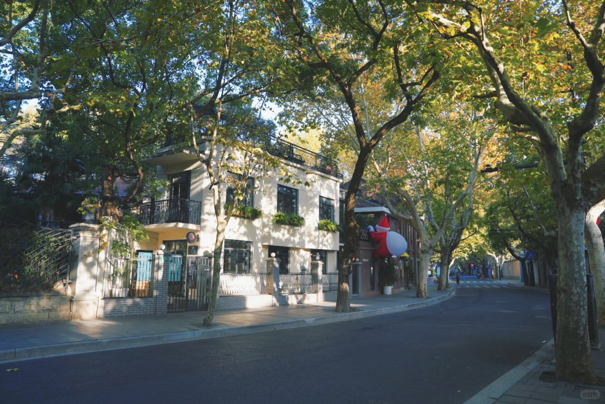 穏やかな朝、木漏れ日が揺れる街並み。新しい一日の始まりに、深呼吸をして太陽の暖かさを感じてみませんか？