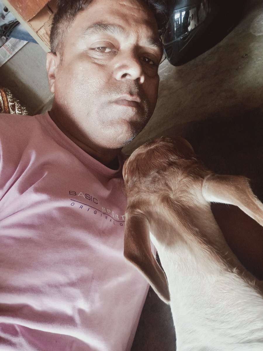 Devendra Singh (@devendr78284132) on Twitter photo 