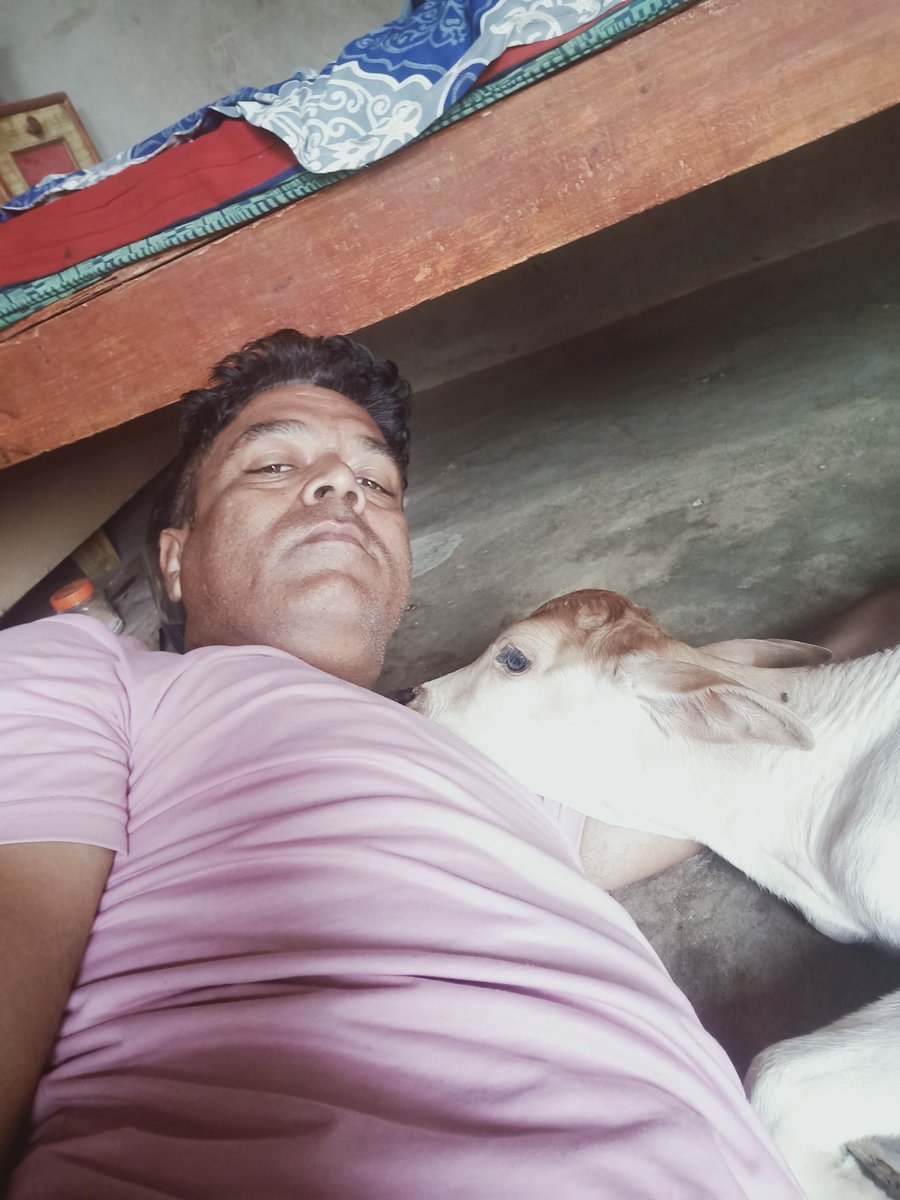 Devendra Singh (@devendr78284132) on Twitter photo 