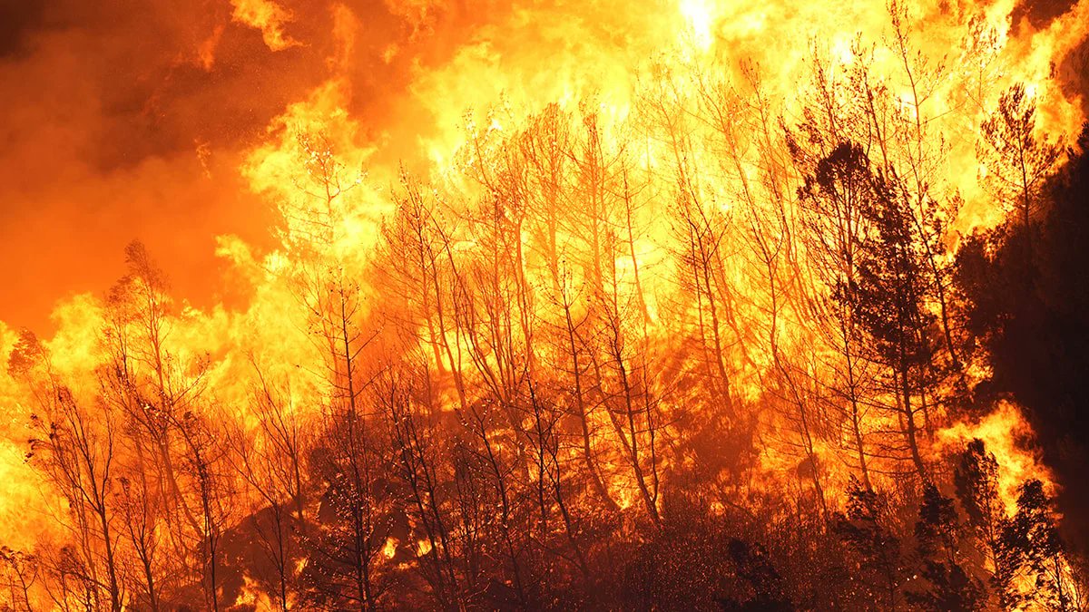 Yanan orman imara açıldı, itiraz etmek 180 bin lira!

2024'de İzmir Bayraklı’da yanan ormanlık alan Cumhurbaşkanı Kararı ile orman sınırları dışına çıkarılmıştı. 

Bu karara karşı dava açan STK’lardan mahkeme 180 bin lira keşif ve bilirkişi ücreti istiyor.

“Doğayı savunmanın