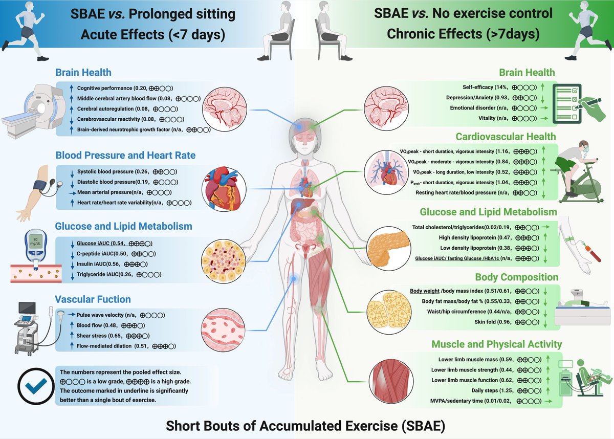 You don’t need lengthy workouts to boost your health.

Short bouts of movement can deliver similar - or even greater - benefits than longer, continuous sessions. 

🧵