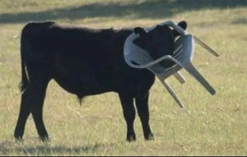 Sometimes it’s not the devil it’s the decision.....