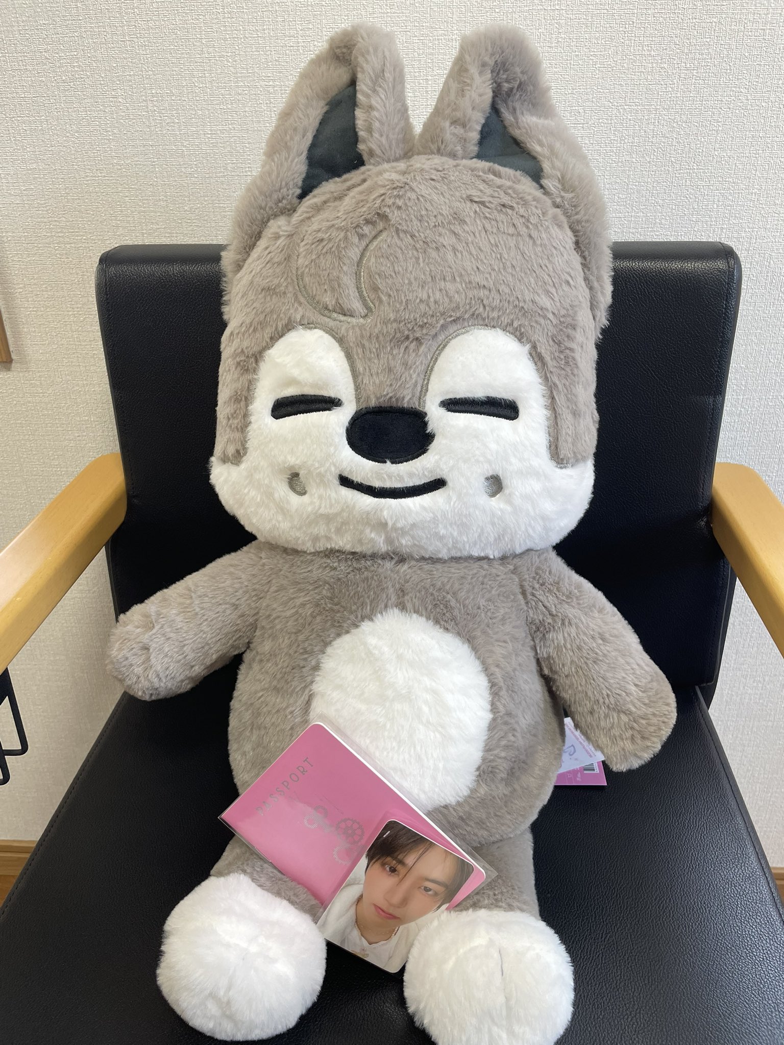 ぴょんぴょん s-l1200.jpg