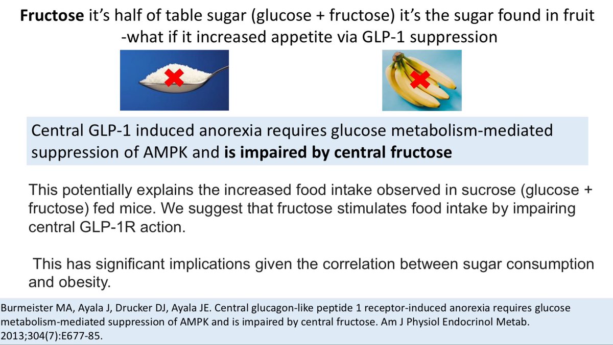 I have suspected for a long time bananas made you fat. What if sugary fruits could increase appetite so you ate more than you intended? Well the sugar in fruit - fructose may be able to do just that by suppressing your natural GLP-1 satiety hormone What do you think ?