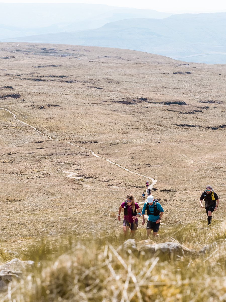 Mel Sykes tweet media