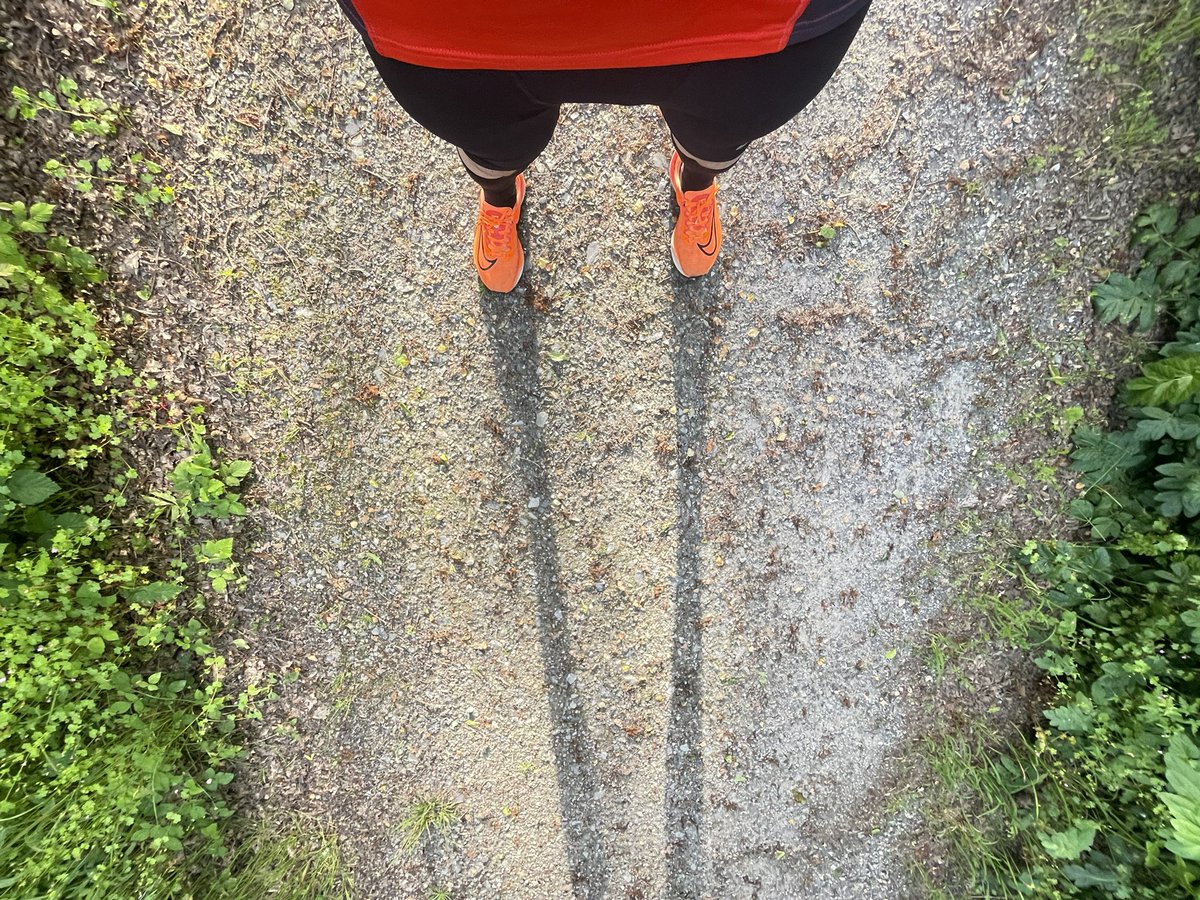 oscarregofpt's tweet photo. 12k #run + #strengthworkout 💪😊 https://t.co/9ru9rJaXOQ