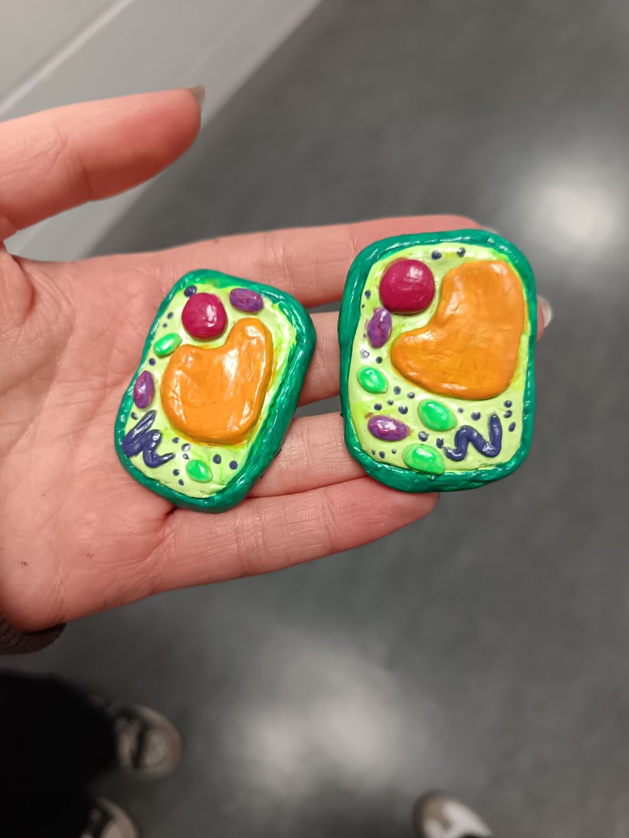 Miss Dornan (@missdornanbio) on Twitter photo Can you believe these are earrings? 👂🏼🌱🔬 Helena has been very creative making themed earrings for all of her subjects with today's pair being Biology!! Amazing! 🤩 <a href="/StMungosAcademy/">St Mungo's Academy</a> <a href="/StMungoScience/">St. Mungo’s Academy Science</a> Can you believe these are earrings? 👂🏼🌱🔬 Helena has been very creative making themed earrings for all of her subjects with today's pair being Biology!! Amazing! 🤩 <a href="/StMungosAcademy/">St Mungo's Academy</a> <a href="/StMungoScience/">St. Mungo’s Academy Science</a>